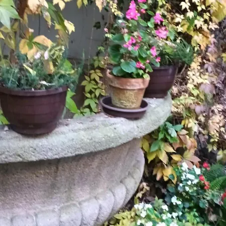 Miraculous Apartment Prag