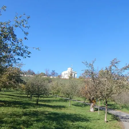 Miraculous * Prag