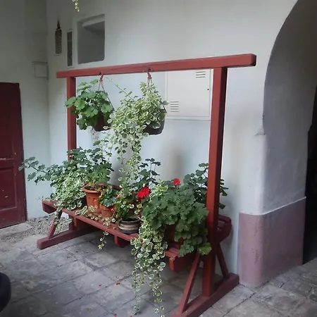 Apartament Miraculous *